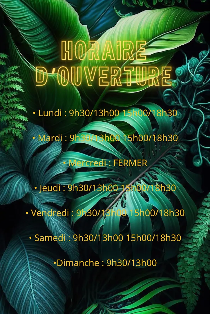 Mon Coin Fring