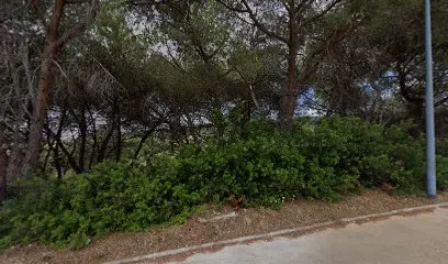 Tramoni Sophie