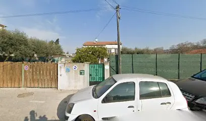 3mauto
