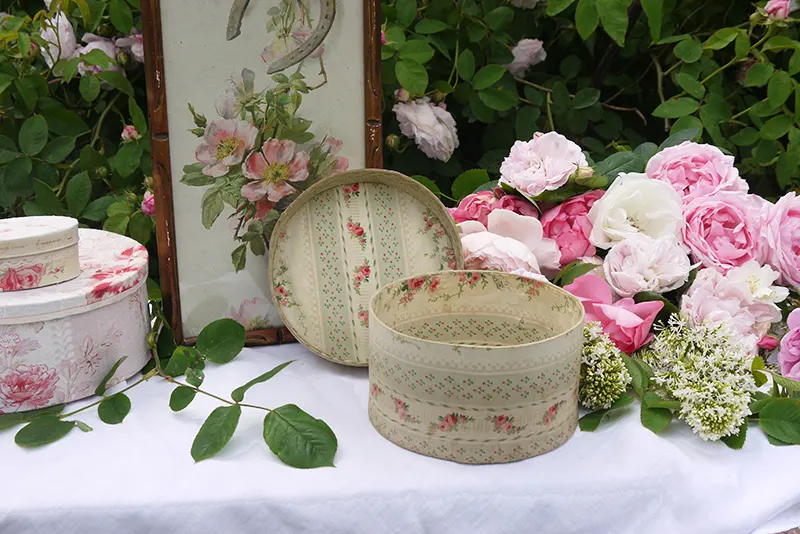 Atelier Cosy