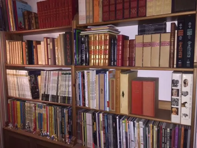 Alter Ego - Librairie - Bouquiniste