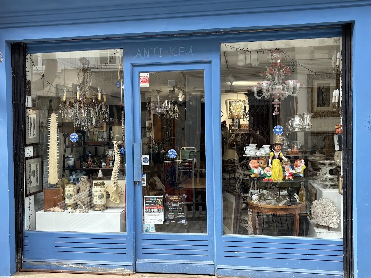Les puces de Senlis