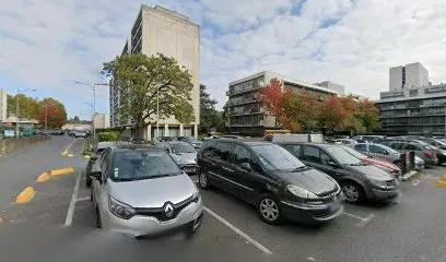 Guez Scetbon Rosa Michelle