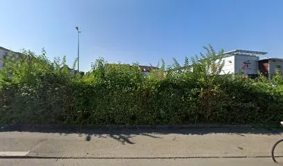Marche Aux Puces Parking Intermarche - Colmar