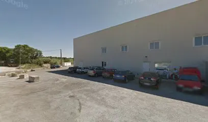 Les puces de Saussan