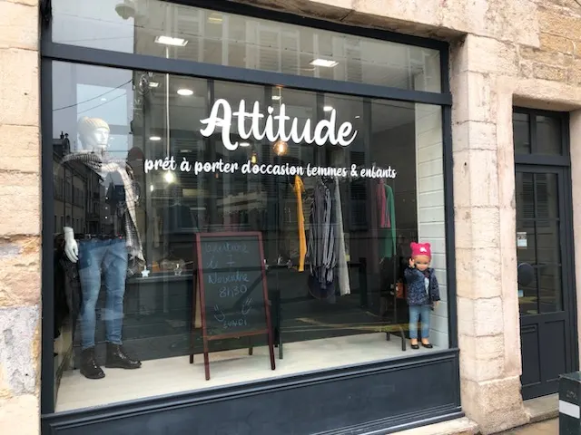 Attitude