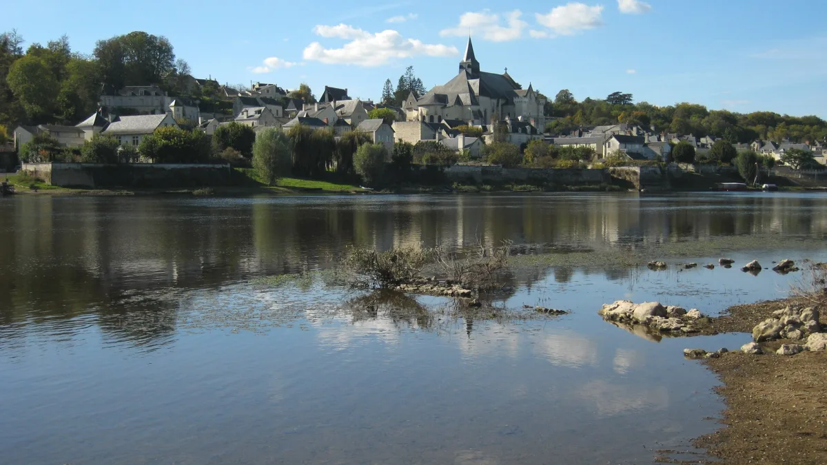 Vue de Candes-Saint-Martin