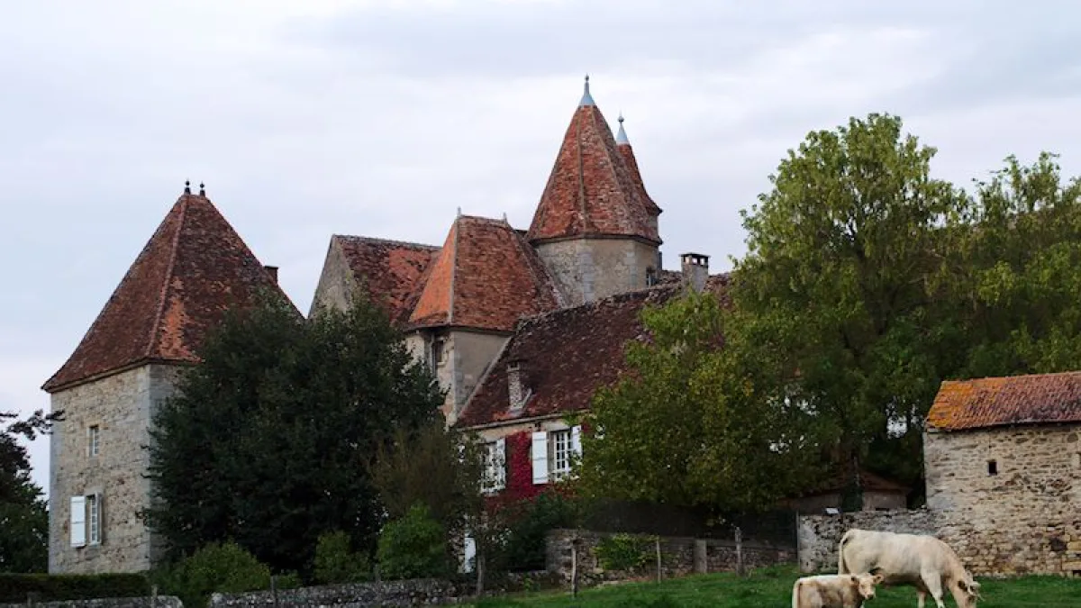Vue de Ciry-le-Noble