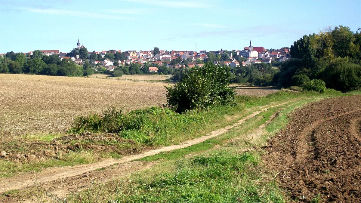 Vue de Dammartin-en-Goele