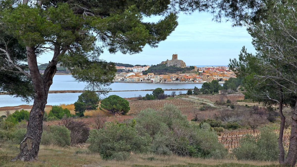 Vue de Gruissan