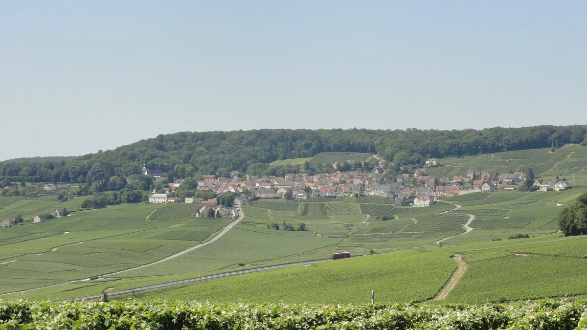 Vue de Hautvillers