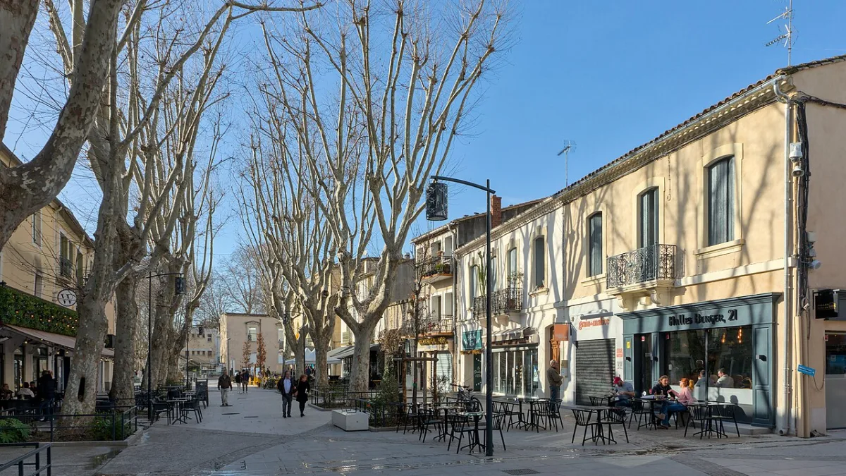 Vue de Lunel
