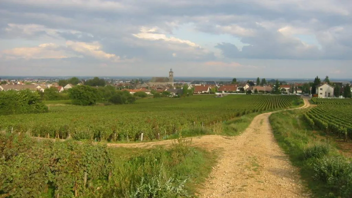 Vue de Marsannay-la-Cote