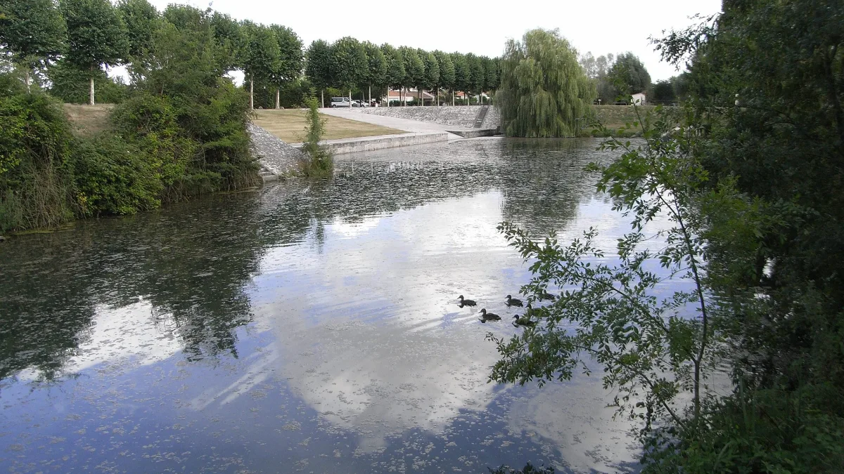 Vue de Mauze-sur-le-Mignon