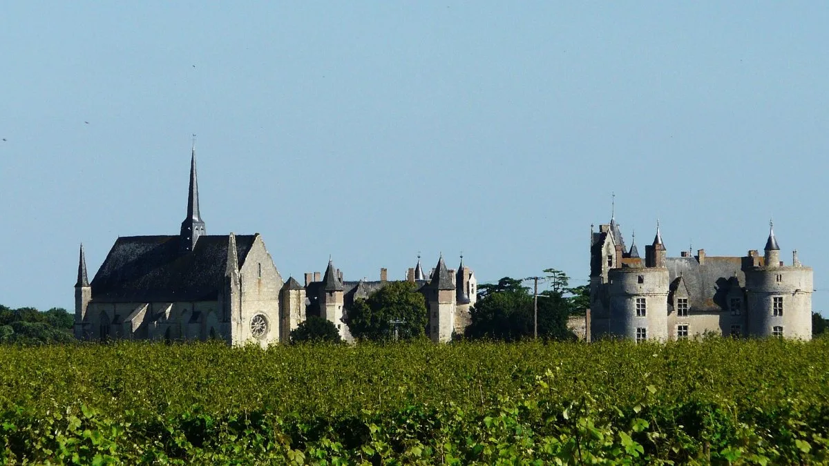 Vue de Montreuil-Bellay