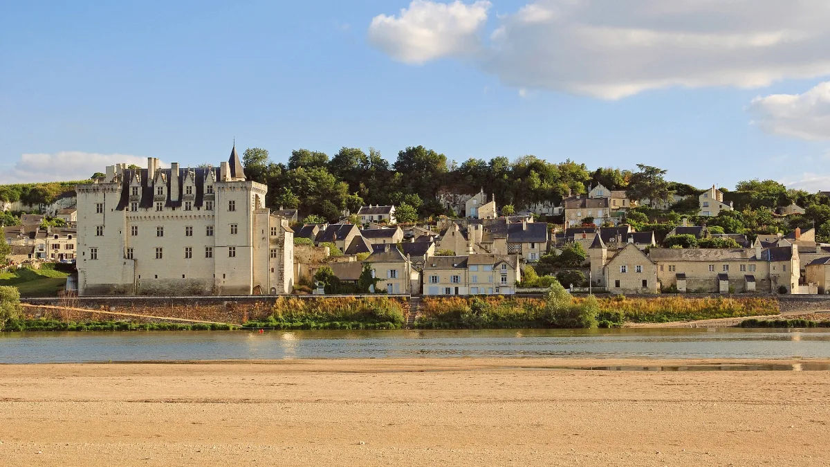 Vue de Montsoreau