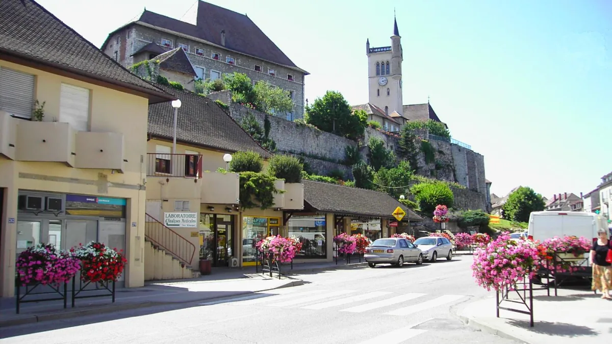 Vue de Morestel