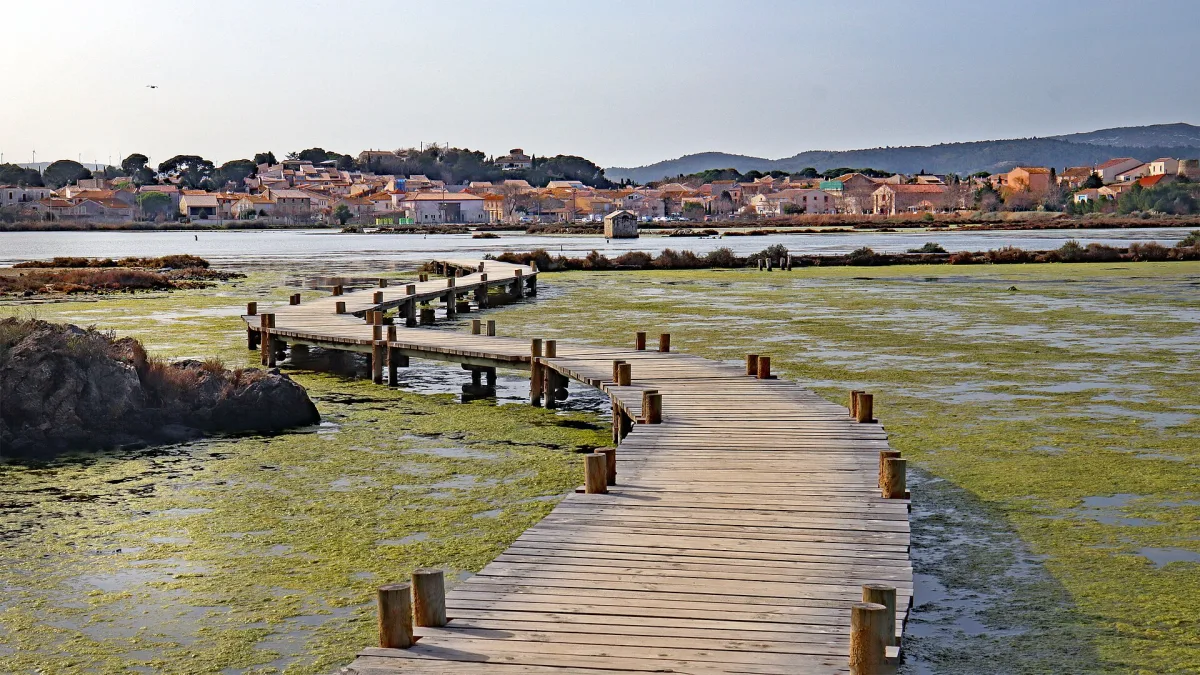Vue de Peyriac-de-Mer
