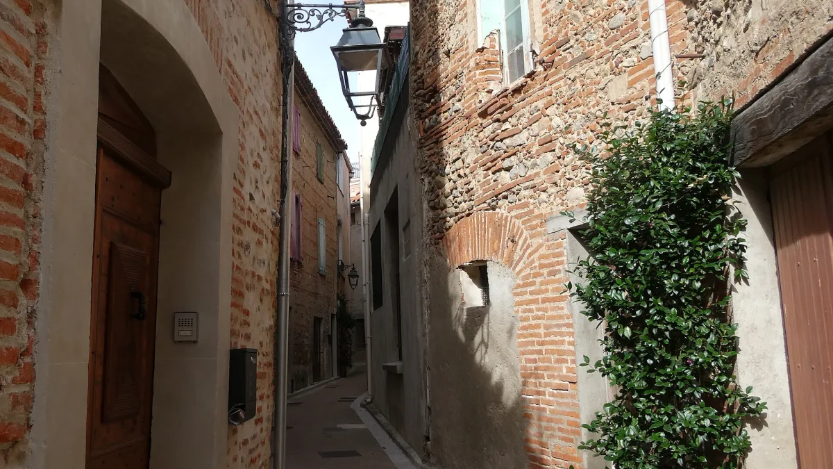 Vue de Pezilla-la-Riviere
