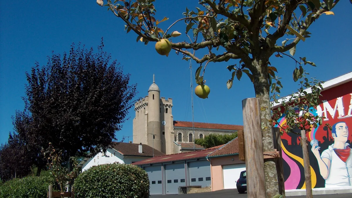 Vue de Pomarez