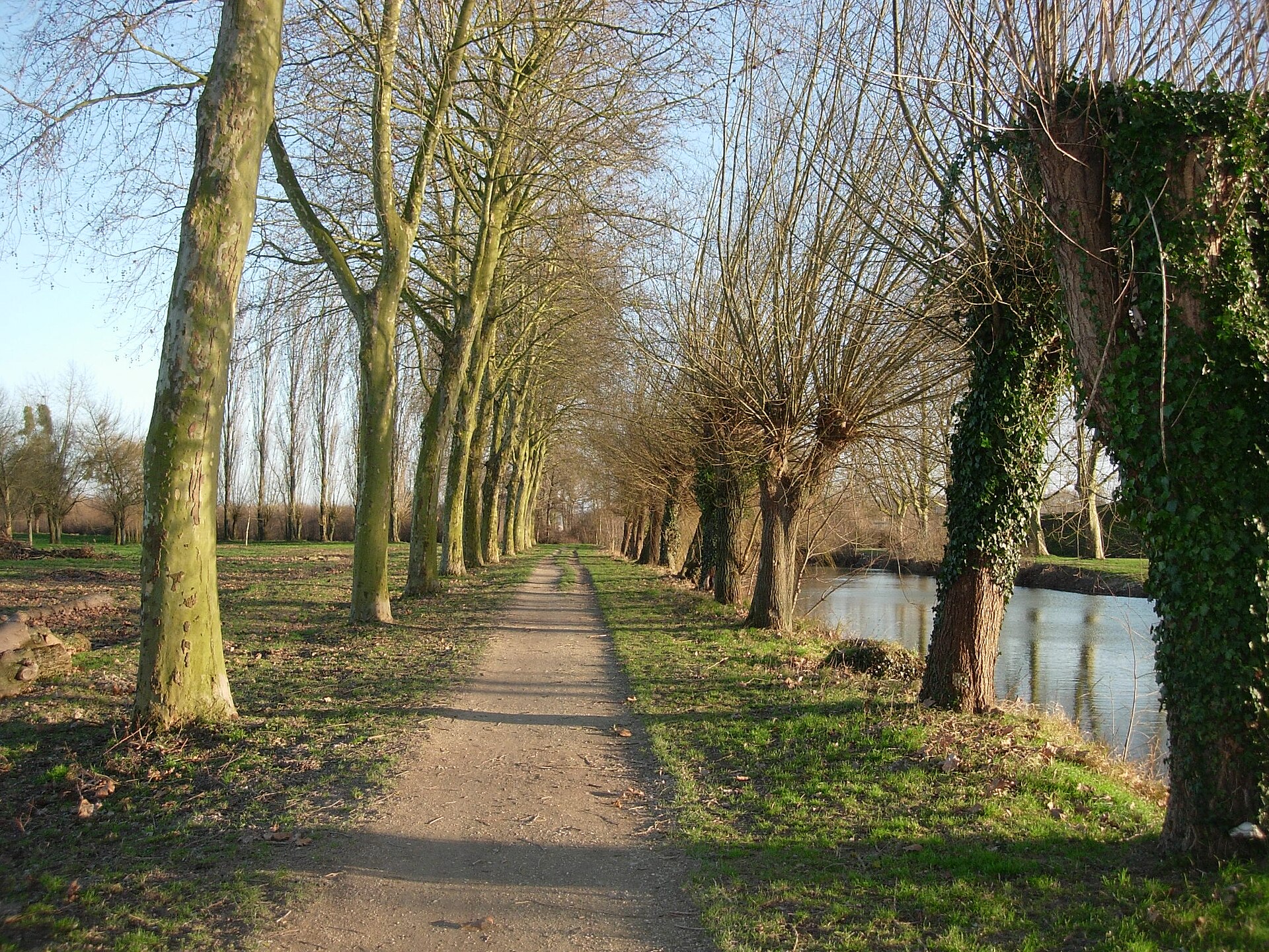 Vue de Romilly-sur-Seine