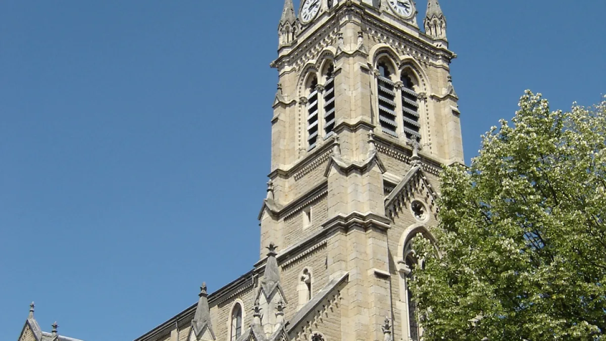 Vue de Saint-Didier-au-Mont-d'Or