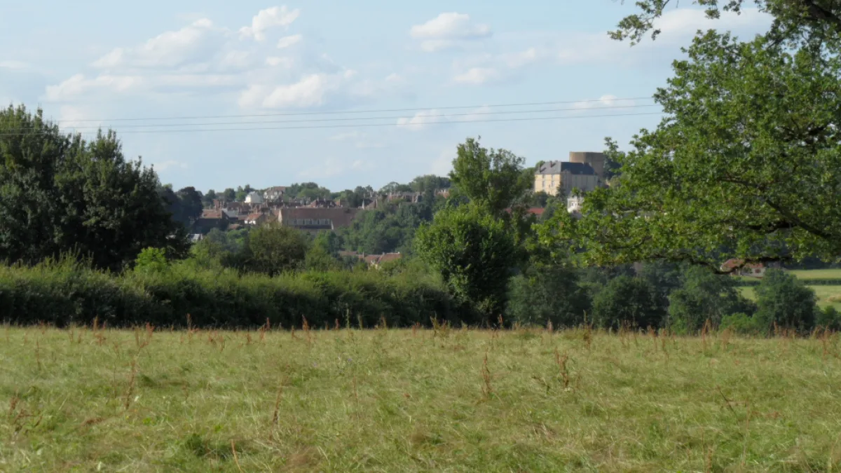 Vue de Saint-Sauveur-en-Puisaye