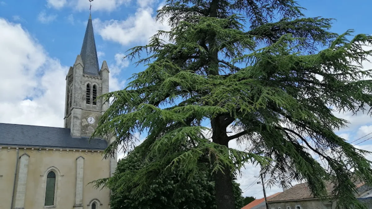 Vue de Sansais