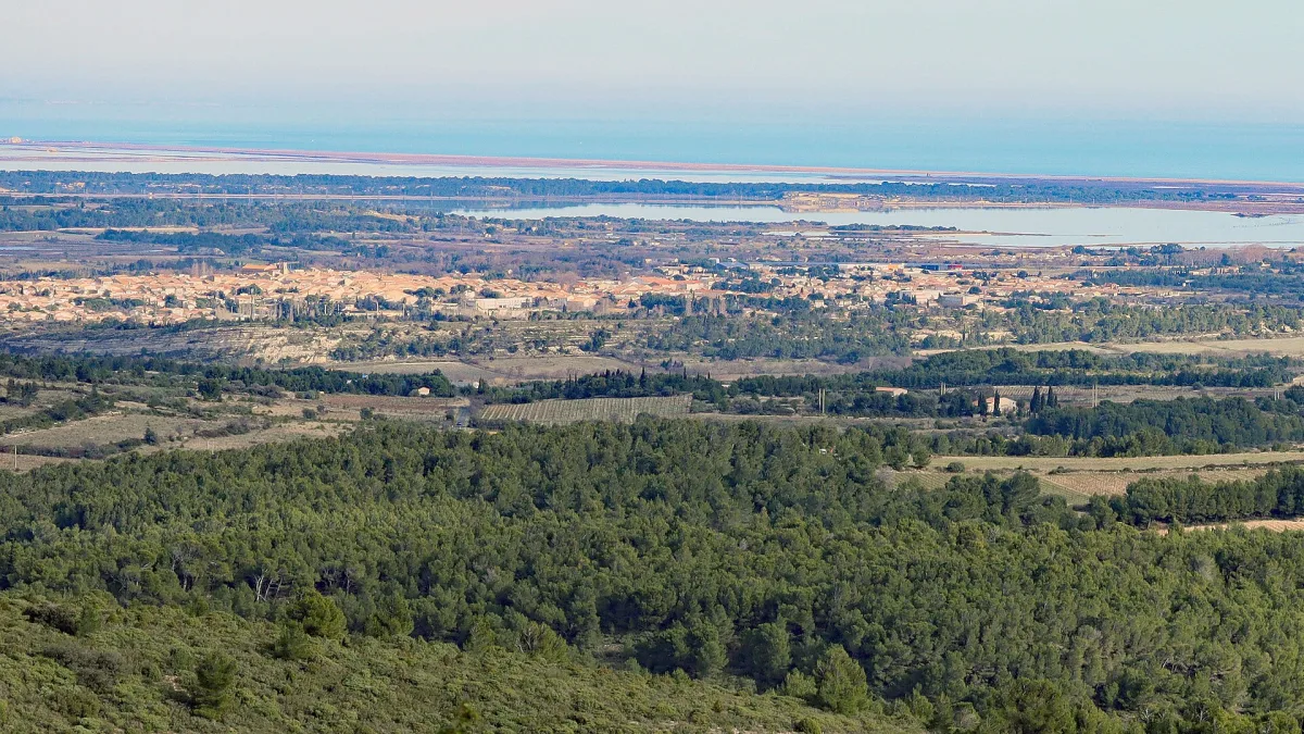 Vue de Sigean