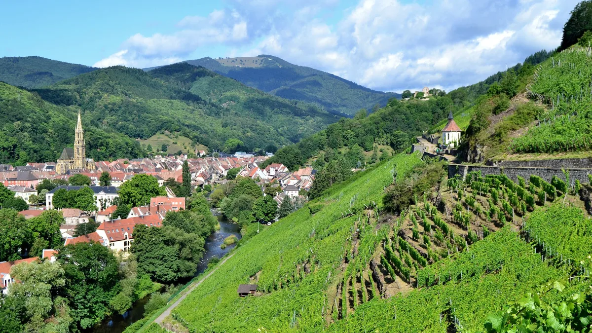 Vue de Thann