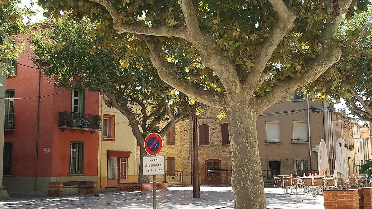 Vue de Torreilles